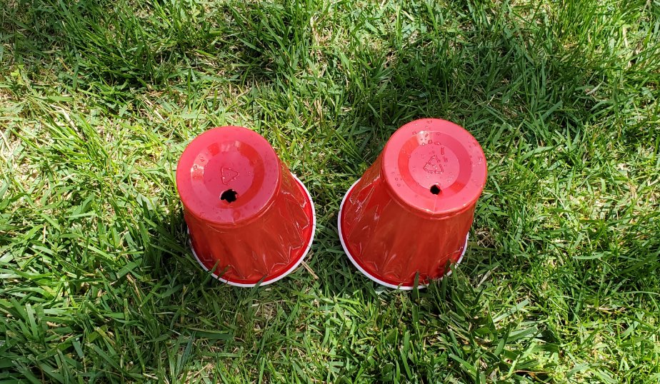 red plastic cups with holes cut in the bottom